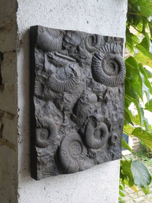 Cast Iron Plate Decorated with Ammonite Fossils, 1960s-QAV-2031463