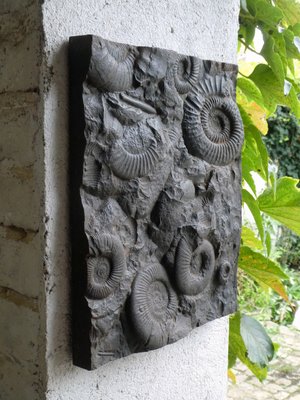 Cast Iron Plate Decorated with Ammonite Fossils, 1960s-QAV-2031463