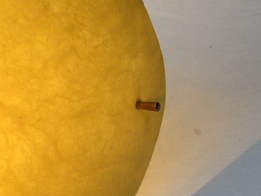 Ceiling Lamp from Dame & Co. Neheim-Hüsten, 1950s-EY-669879