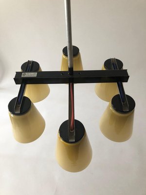 Ceiling Lamp with 6 Handmade Opaline Glass Shades from Lidokov, 1950s-BAF-763520