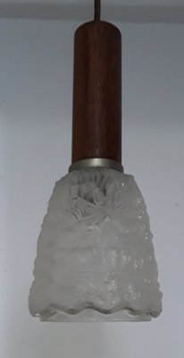 Ceiling Lamp with Frosted Relief Glass Shade & Teak Veneered Mount, 1960s-HOI-1067576