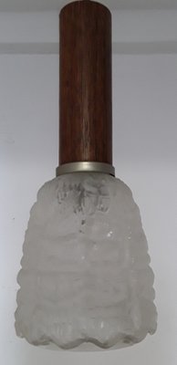 Ceiling Lamp with Frosted Relief Glass Shade & Teak Veneered Mount, 1960s-HOI-1067576