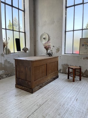 Central Shop Counter or Island in Walnut, 1890s-LCU-1406452