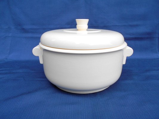 Ceramic Model Tureen Dinnerware Set by Gio Ponti for Richard Ginori, 1936, Set of 12-EI-511247