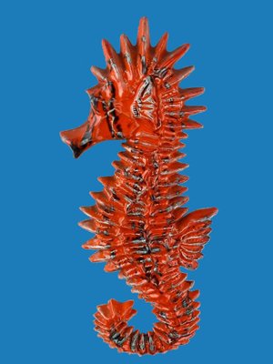 Ceramic Seahorse Wall Decoration by Yann for Amphora, Belgium, 1960s-DT-2026223