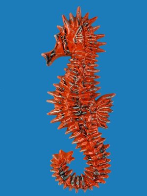 Ceramic Seahorse Wall Decoration by Yann for Amphora, Belgium, 1960s-DT-2026223