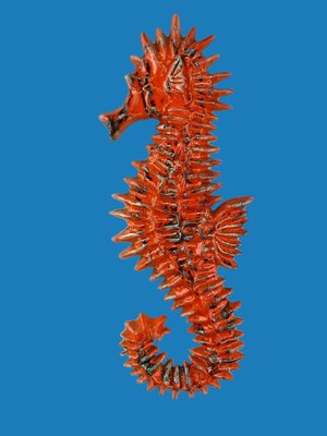 Ceramic Seahorse Wall Decoration by Yann for Amphora, Belgium, 1960s-DT-2026223