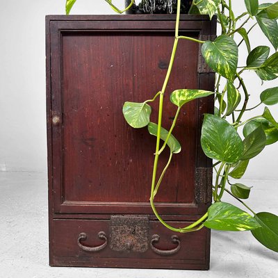 Chabako Storage Cabinet for Tea Ceremony, Japan, 1890s-DWL-2020486