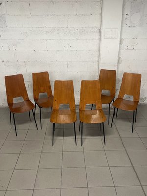 Chairs attributed to Carlo Ratti for Società Compensati Curvati, 1950s, Set of 6-JHL-2035779