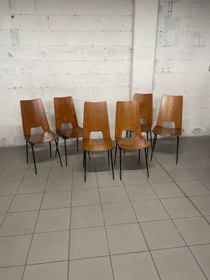 Chairs attributed to Carlo Ratti for Società Compensati Curvati, 1950s, Set of 6-JHL-2035779