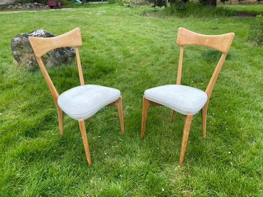 Chairs by Ico Parisi for Ariberto Colombo, 1950s, Set of 2-HFR-924288