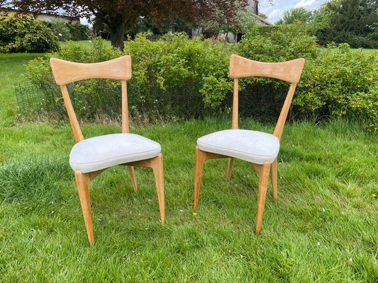 Chairs by Ico Parisi for Ariberto Colombo, 1950s, Set of 2-HFR-924288