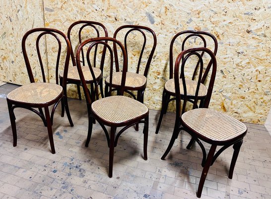 Chairs by Michael Thonet for Gebrüder Thonet Vienna GmbH, 1930s, Set of 2-NUO-1020415