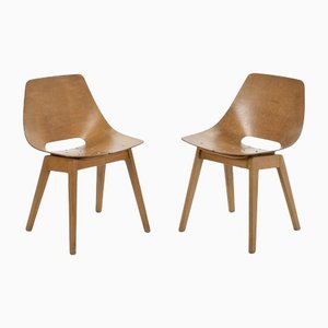 Chairs by Pierre Guariche, Set of 2-NQ-1161287