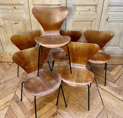 Chairs from Jacobsen, Set of 7-DY-2020858