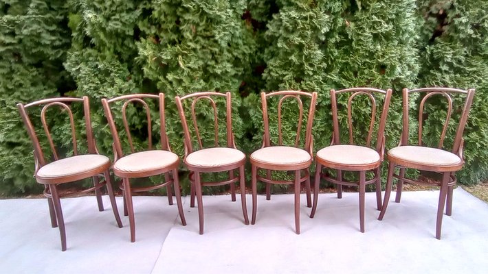 Chairs in Beech Bentwood from Tatra, 1960s, Set of 6-VIC-1816022