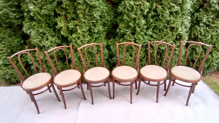 Chairs in Beech Bentwood from Tatra, 1960s, Set of 6-VIC-1816022