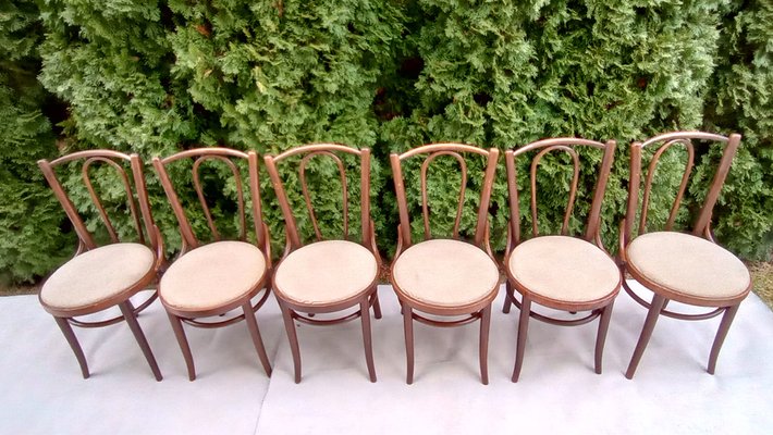 Chairs in Beech Bentwood from Tatra, 1960s, Set of 6-VIC-1816022