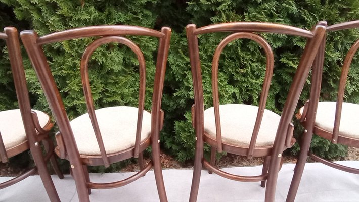 Chairs in Beech Bentwood from Tatra, 1960s, Set of 6-VIC-1816022