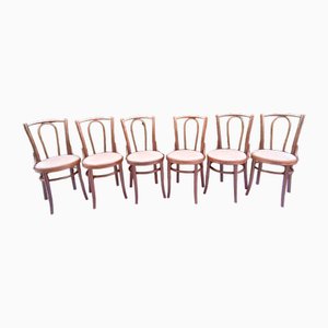 Chairs in Beech Bentwood from Tatra, 1960s, Set of 6-VIC-1816022