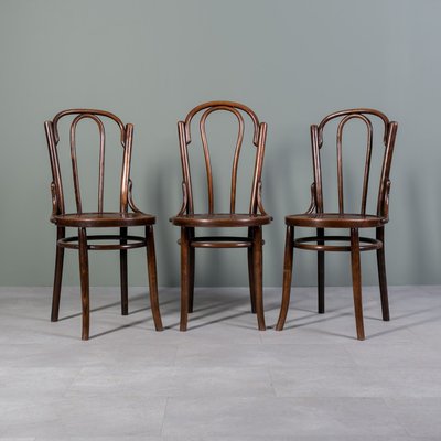 Chairs in Bent and Beech Wood by Michael Thonet, Set of 3-WZF-2028427