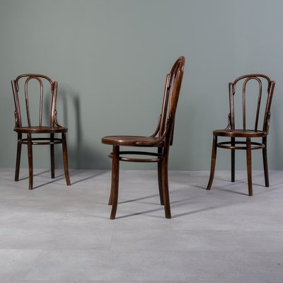 Chairs in Bent and Beech Wood by Michael Thonet, Set of 3-WZF-2028427