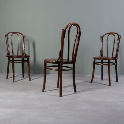 Chairs in Bent and Beech Wood by Michael Thonet, Set of 3-WZF-2028427