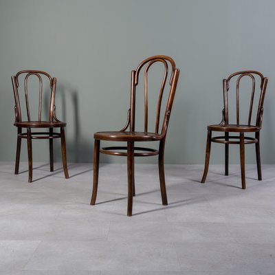 Chairs in Bent and Beech Wood by Michael Thonet, Set of 3-WZF-2028427