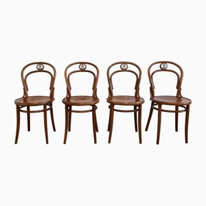 Chairs No. 14 by Ton for Svejk Restaurant, 1990s, Set of 4-SJU-1818583