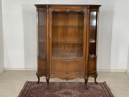 Chippendale Cabinet in Wood-LIL-1800077