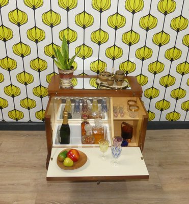 Chippendale Style Furniture Bar Cabinet, 1960s-AFE-1720444