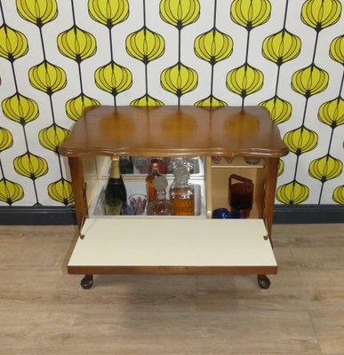 Chippendale Style Furniture Bar Cabinet, 1960s-AFE-1720444