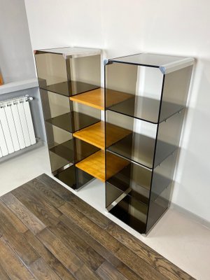 Chrome, Smoked Glass & Wood Bookshelf Étagère by Gallotti & Radice, Italy, 1970s-LYQ-1171635