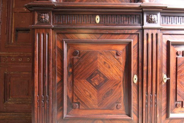 Classicist Top Cabinet in Rosewood, 19th Century-TAT-998569