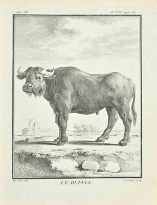 Claude Jardinier, Le Buffle, Etching, 1771-ZCI-2029812