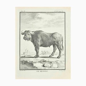 Claude Jardinier, Le Buffle, Etching, 1771-ZCI-2029812