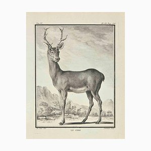 Claude Jardinier, Le Cerf, Etching, 1771-ZCI-2030088