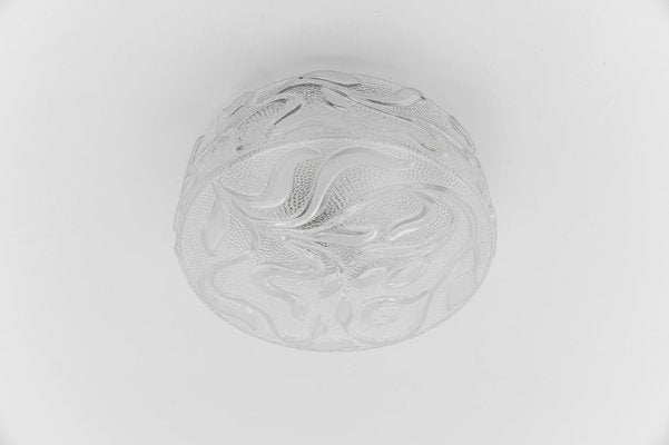 Clear Glass Botanical Flush Mount Light, 1960s-KQB-1813567