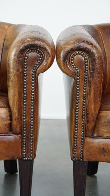 Club Chairs in Sheep Leather, Set of 2-HPP-2036603