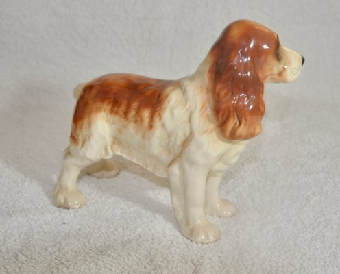 Cocker Dog from the English Brand Coopercraft, 1970s-ROJ-2040366