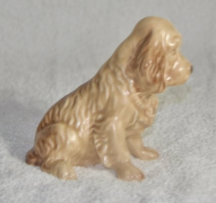 Cocker Dog from the English Brand Sylvac, 1970s-ROJ-2040506