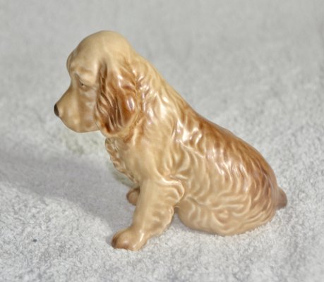 Cocker Dog from the English Brand Sylvac, 1970s-ROJ-2040506