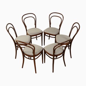 Coffee House Chairs Model 214 by Michael Thonet, 1930s, Set of 6-GPP-1746997