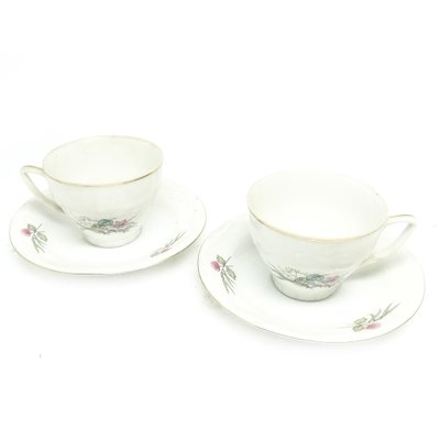 Coffee Set from Porcelain Factory Bogucice, Poland, 1960s, Set of 15-BKO-1451510