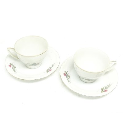 Coffee Set from Porcelain Factory Bogucice, Poland, 1960s, Set of 15-BKO-1451510