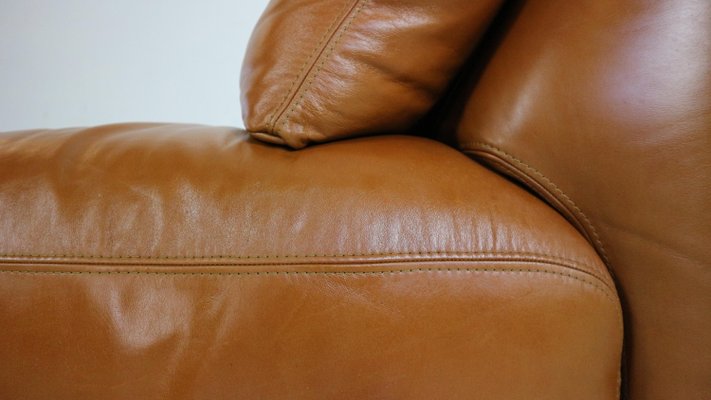 Cognac Leather 2-Seater Bengodi Sofa by Cini Boeri for Arflex, Italy, 1970-DT-2026199