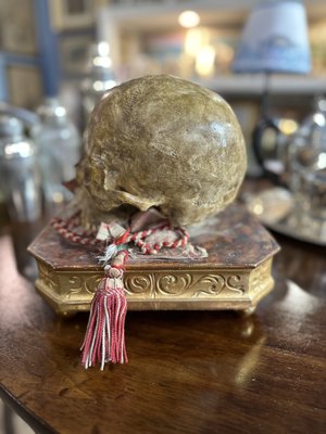 Collectible Memento Mori with Gilded Wooden Base, 1900s-UAI-2024516