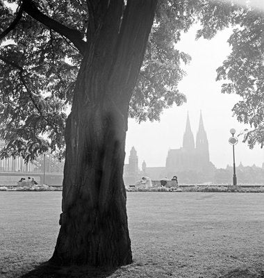 Cologne 1935, Germany, 2012-DYV-701027