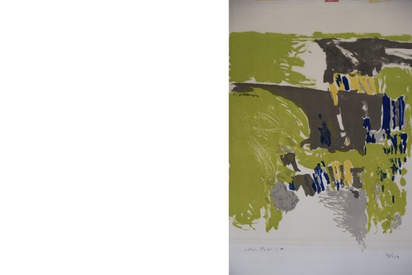 Color Lithograph on Van Gelder Zonen Paper by Jörgen Fogelqvist, 1980s-ZAA-957226