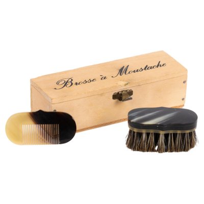 Comb and Brush in a Box by Carl Auböck, Austria, 1960s-SFD-1339493